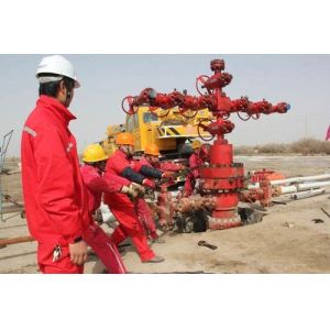 Buy cheap API 6A Wellhead 2-1/16
