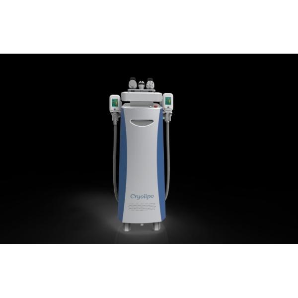 Quality 1800W 10.4 inch Cryolipolysis Slimming Machine for Spa for sale