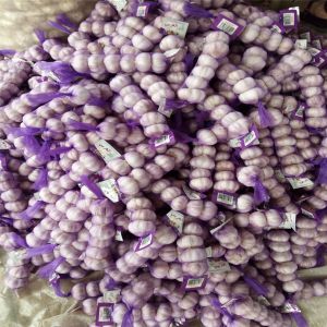 Buy cheap 4.5cm Pure White Natural Fresh Onion No Black Mould from wholesalers