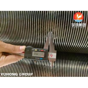 ASTM A213 TP347H HFW Finned Tubes for Heat Exchangers