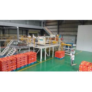 11KW Plastic Bottle Packaging Machine Auto Case Palletizer Machine 140MMH