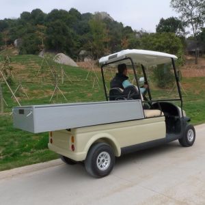 Blue Color Street Legal Golf Utility Vehicles With Curtis 400 A Controller