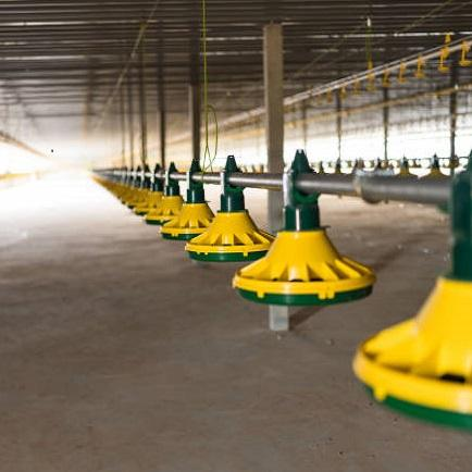 Buy cheap Lightweight Prefab Chicken House with 150mph Wind Resistance from wholesalers