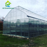 Three In One Soil Moisture Sensor Greenhouse Temperature And Humidity Monitor