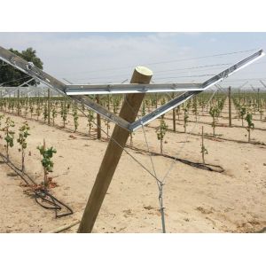 Buy cheap Vertical Grape Trellis Vineyard Fence Posts With Different Surface Treatment from wholesalers