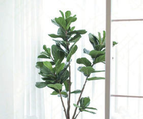 Buy cheap Natural 120cm Height Pandurata Artificial Ficus Tree Landing Plant from wholesalers