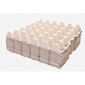 Full Auto Rotary Egg Tray Machine 3000pcs per hour / Energy Recycling Egg Carton