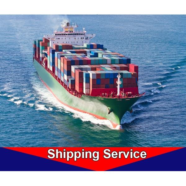 Quality Fast Door To Door Sea Freight Forwarder Shanghai - New York Houston for sale