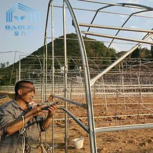 Buy cheap Agriculture Cucumber Chili Single Span Tunnel Plastic Greenhouse With Shading System from wholesalers