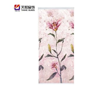 Buy cheap Hot selling printing roller blinds New design for roller blinds,printed roller shades fabric,window shades,window shutte from wholesalers