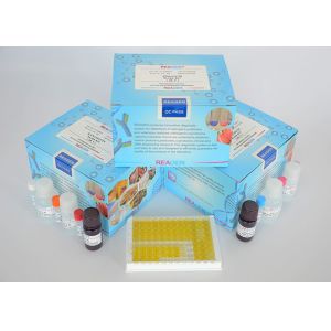 Buy cheap Mabuterol ELISA Test Kit , specification is 96 test , competitive price and high quality from wholesalers