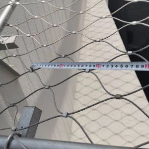 Buy cheap Wire Rope Plant Trellis System Stainless steel rope mesh from wholesalers