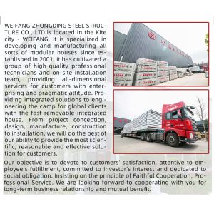 Modern Foldable Modular Homes Portable House Container Homes with Wind Speed