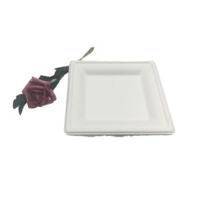 Buy cheap 100% Compostable 6 Inch 10g Sugarcane Waste Plates from wholesalers