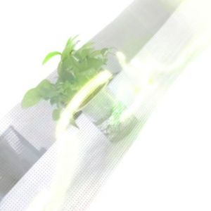 P8 Adhesive Transparent LED Display Ultra Thin 80% Transparency For Shopping