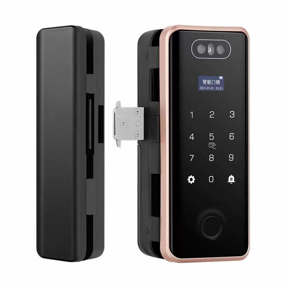 G5S Face Recognition Fingerprint Card Passcode Electronic Glass Door Lock for