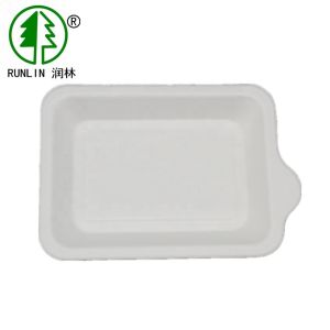 Buy cheap Recyclable rectangular shape tray eco-friendly birthday party tray from wholesalers