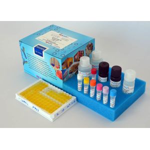 Buy cheap Methyltestosterone ELISA Test Kit Rapid Detect Competitive Enzyme Immunoassay from wholesalers