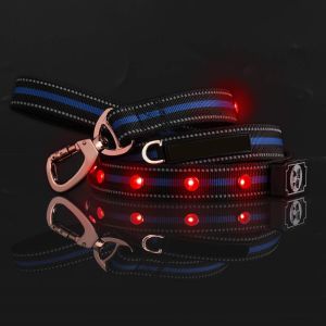 Buy cheap 4 FT Long LED Dog Leash Soft Padded Reflective Nylon For Medium Large Dogs product