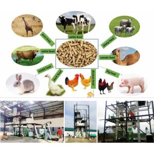 Buy cheap SS Feed Pellet Production Line Small Poultry Feed Line Simple Structure from wholesalers