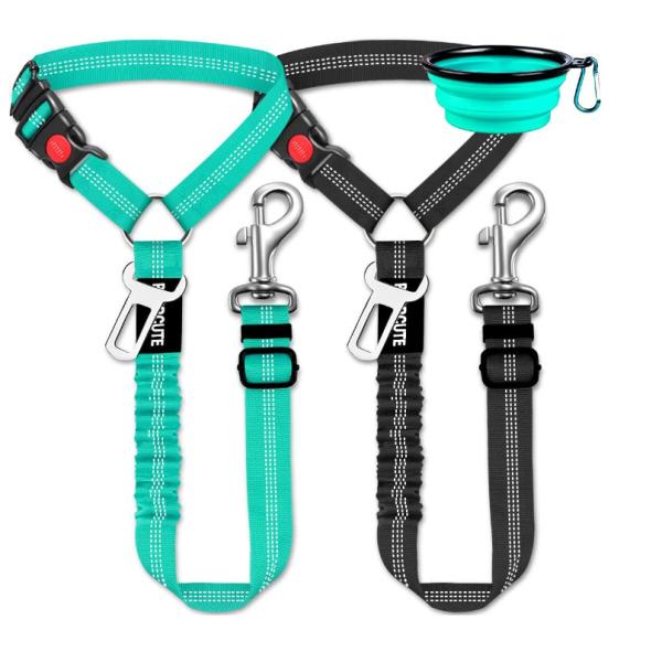 seat belt dog collars & harnesses