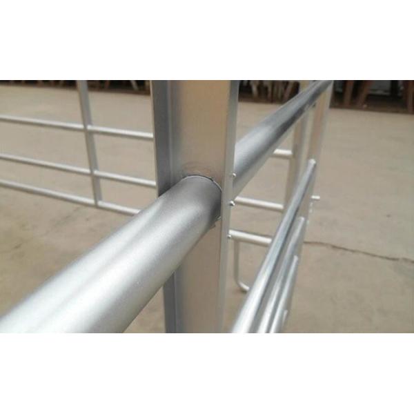 sheep panels for sale