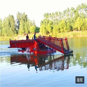 Buy cheap Enteromorpha Trash Skimmer Machines aqautic weed harvester reed water glass hyacinth cutting boat  work ship from wholesalers