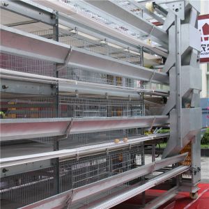 Buy cheap Poultry Galvanized Layer Chicken Cage System 128 Birds 160 Birds from wholesalers