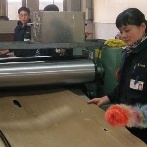 Buy cheap Reconstituted Wood Veneer Rose Wood Crown Cut Red Color Length 2200-3100mm For For Interior Doors China Factory PDK-199C / 901C from wholesalers