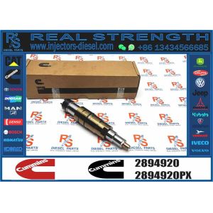 Buy cheap 2894920 for Scania Engine Diesel Common Rail Fuel Injector High Performance Auto Engine Parts Car Engine Systems Assembly from wholesalers