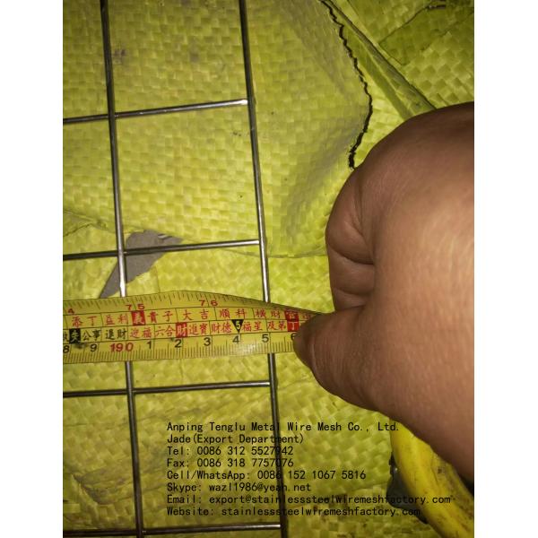 Quality 50mm, 2" Opening SUS304 Welded Wire Mesh Panels  With Corrosion Resistance In Coastal City for sale