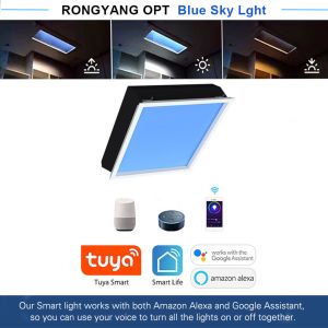 Buy cheap 2x2ft Smart Skylight Panel 150W 5000lm+ 2100–7500K Mesh 5.0 DALI 0-10V Sun Simulation Scenes from wholesalers