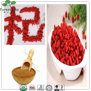 Rich in Nutrients and Health Care Value of Barbury Wolfberry Fruit P.E