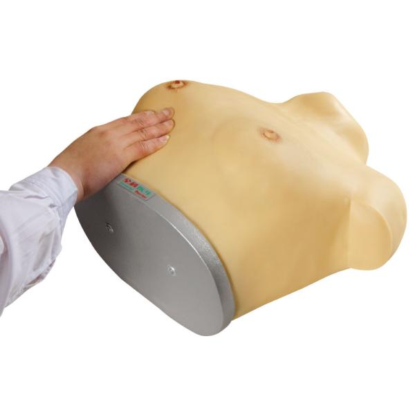 Buy cheap OEM gynecologic simulator mammary tumors , Palpation Simulator for education from wholesalers