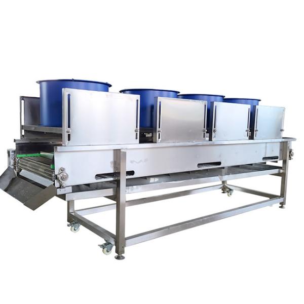 Buy cheap 1t/H Onion Fruit And Vegetable Dehydration Machine Low Consumption from wholesalers