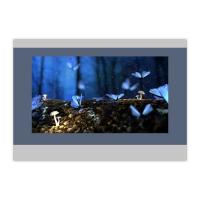 Buy cheap DC24V HMI Touch Screen Industrial ABS Economic Frame CE certificated product