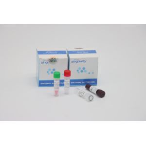 Buy cheap Fast RT PCR Test Kit Quantitative Fluorescent For HFMD Virus Testing product