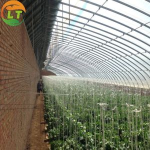Buy cheap Environmentally Friendly Solar Agricultural Greenhouse with Greenhouse Benches product