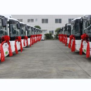 6.6m Electric Mini buses ev bus automatic transmission LHD Or RHD for city