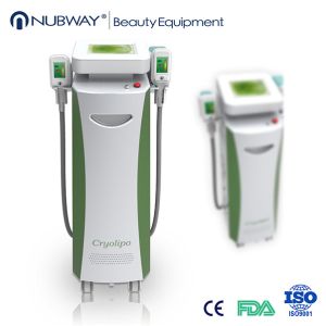 Buy cheap Fat Freeze Cryotherapy Vaccum Equipment , Vertical Cryolipolysis Slimming Machine from wholesalers