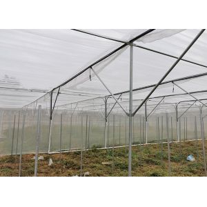 Buy cheap Multi Span Shade Net Greenhouse Rustproof For Strawberry And Mushroom from wholesalers
