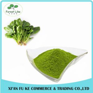 China Vagetable P.E. Spinach Powder / BoBcai Powder without Additive on sale