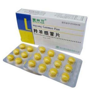 Servo Motor Pulling PLC Control Blister Cartoning Machine Full Automatic