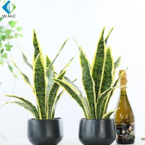 Buy cheap Green Artificial Potted Plants , Artificial Snake Plant Customized Design from wholesalers
