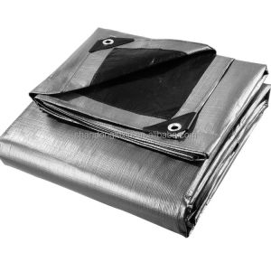 Buy cheap s grade HDPE Tarpaulin Durable and Waterproof for Ultimate Protection Density 5.6*4.6 from wholesalers