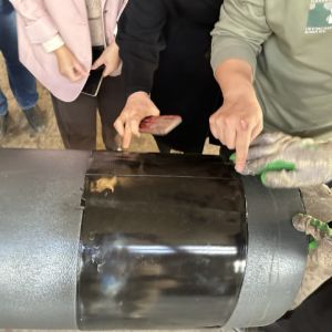 Buy cheap Heat Shrink Sleeve For Pipes Oil And Gas Pipelines from wholesalers