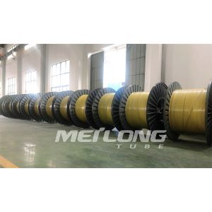 PVDF Encapsulated 304 Stainless Steel Capillary Tube Nickel Alloy