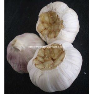 Buy cheap Automatic Garlic Peeling Machine for Sale from wholesalers