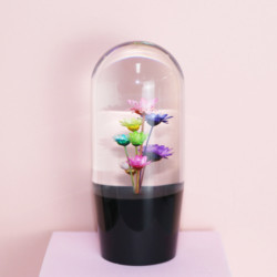 Buy cheap Factory Hot Sale Customized product Modern Design shift knob custom resin Car Gear Knob Metal nut 10cm car shift knob from wholesalers