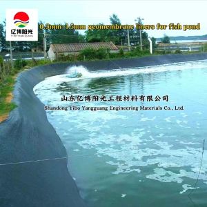 Industrial Design Style HDPE Geomembrane Pond Liners Suitable for Various